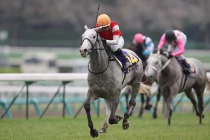 競馬】ダービー本命候補、ゴールドシップの「唯一の落とし穴」 | web